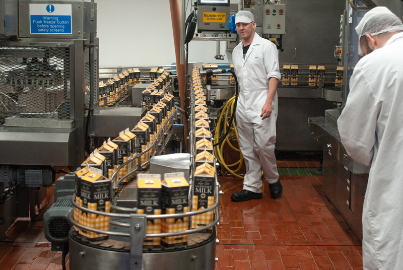 Guernsey-Dairy-Lactose-Free-Production1.jpg