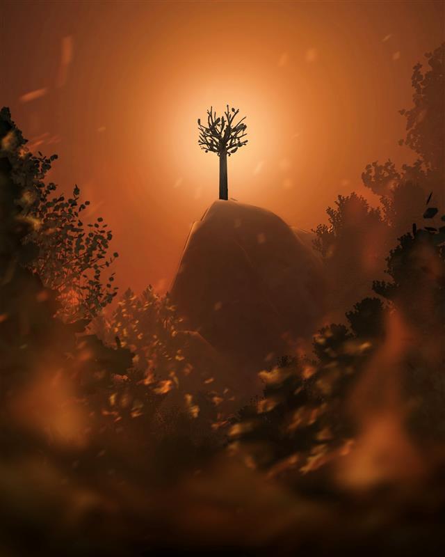 Tree.jpg