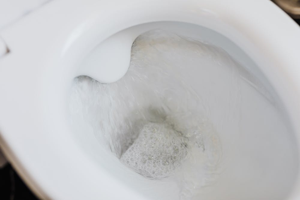 Toilet_bowl.jpeg