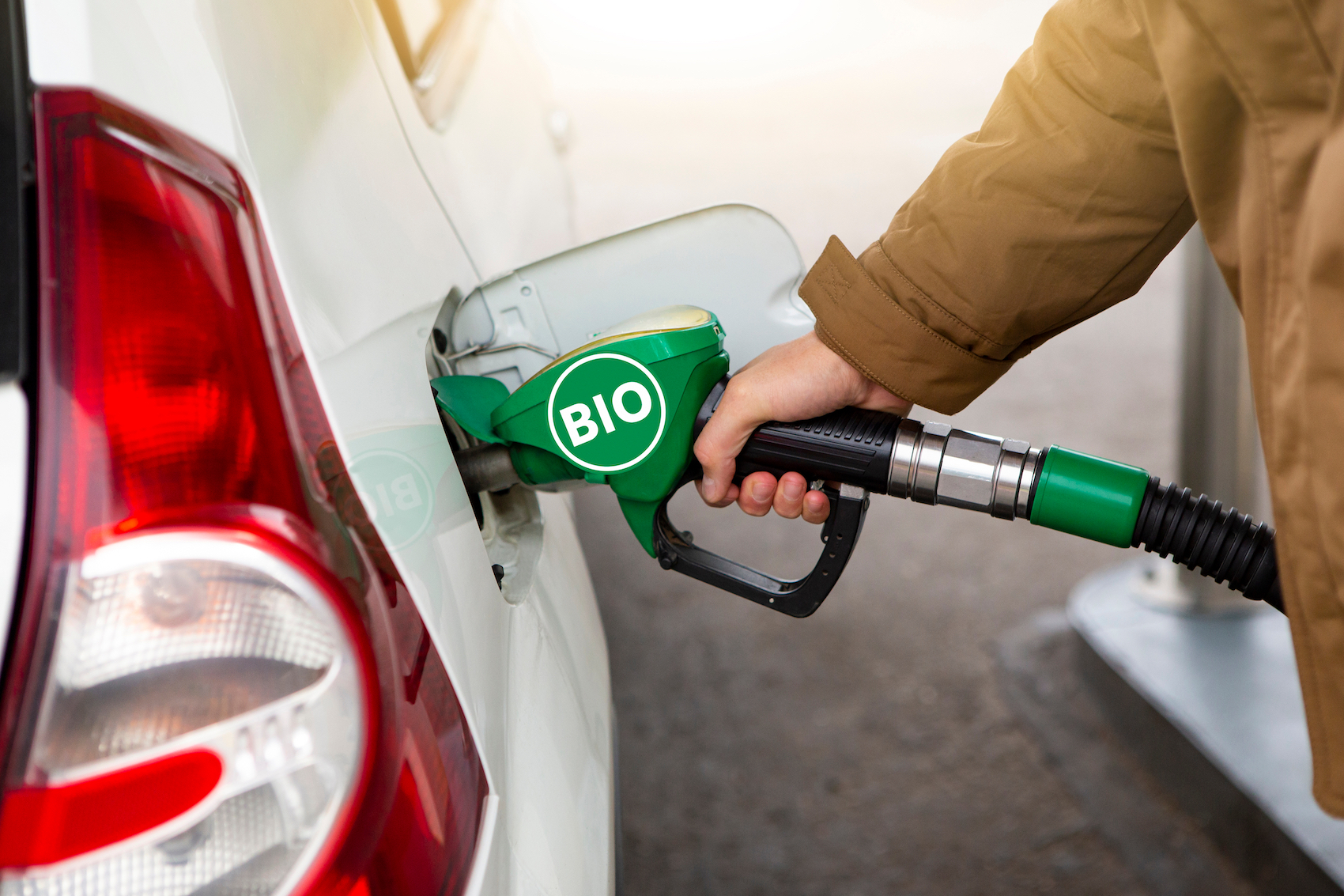 Biofuel.jpg
