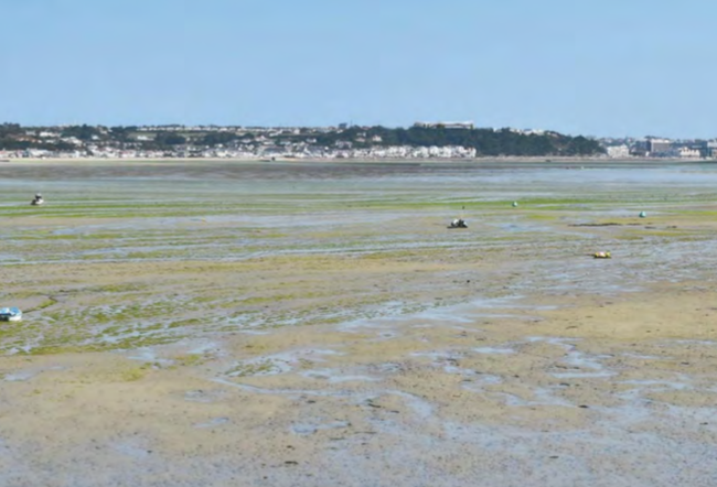 hospital_from_st_aubins_bay.png