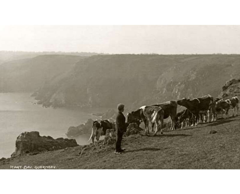 Grazing_at_Icart.png
