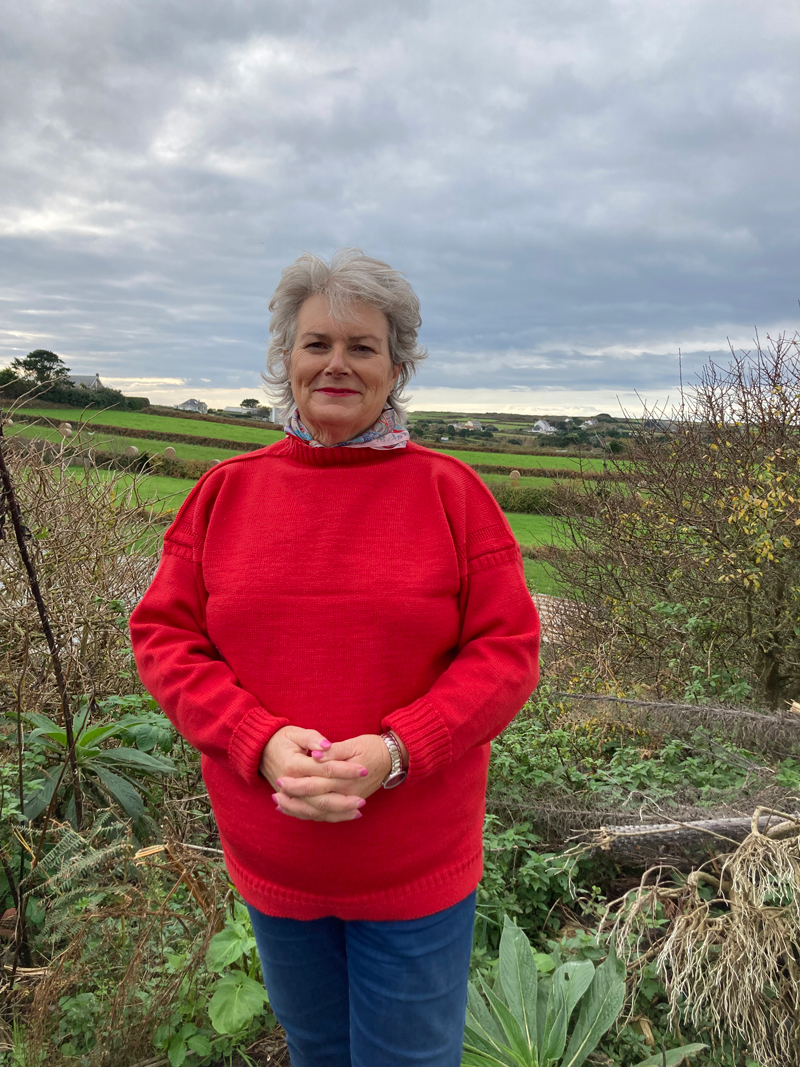 Guernsey jumper - Sue Aldwell
