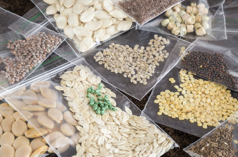 Seeds_2.png