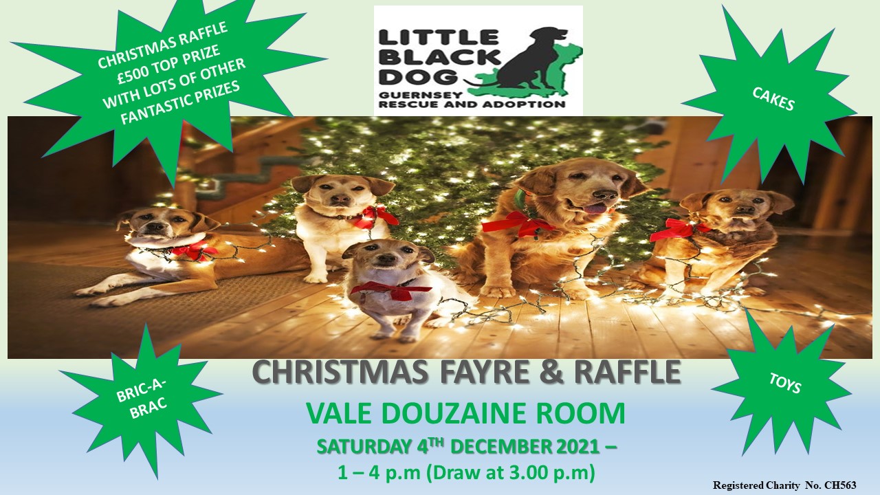 little black dog Christmas fayre & raffle