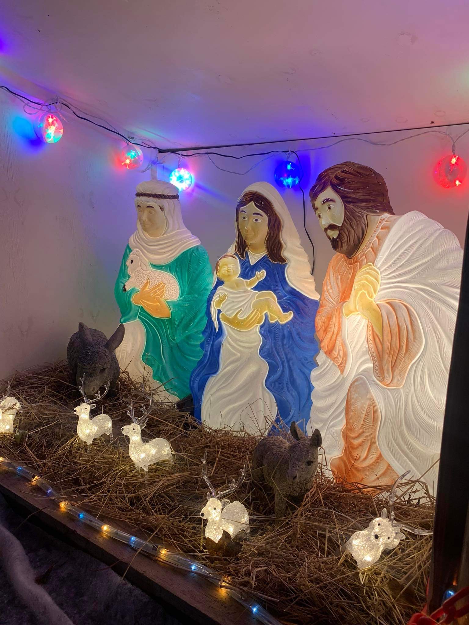 Christmas_Lights_4