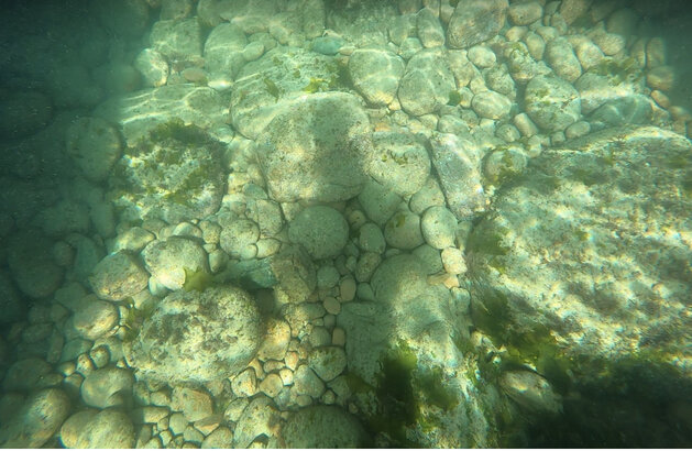 Portelet snorkel trail underwater.jpeg