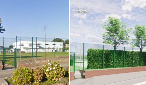 planting_oakfield.jpg