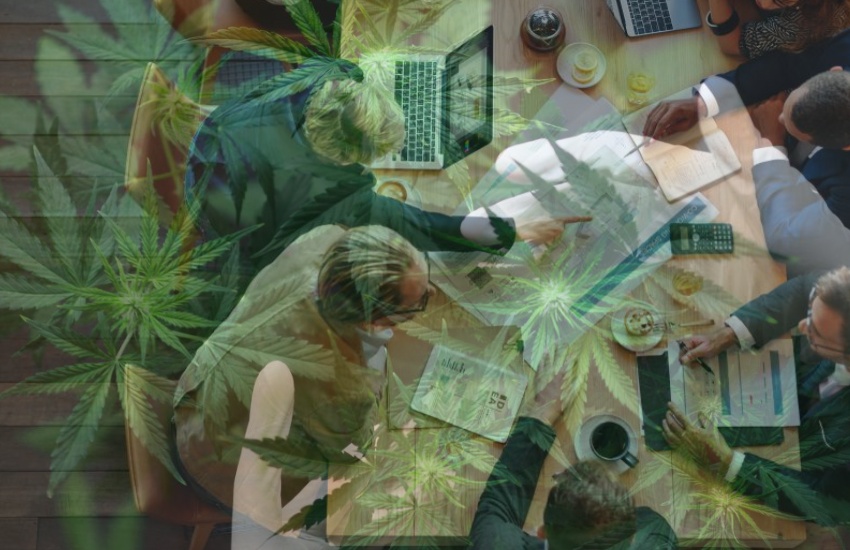 Generic_meeting_with_cannabis_plants_in_background.jpg