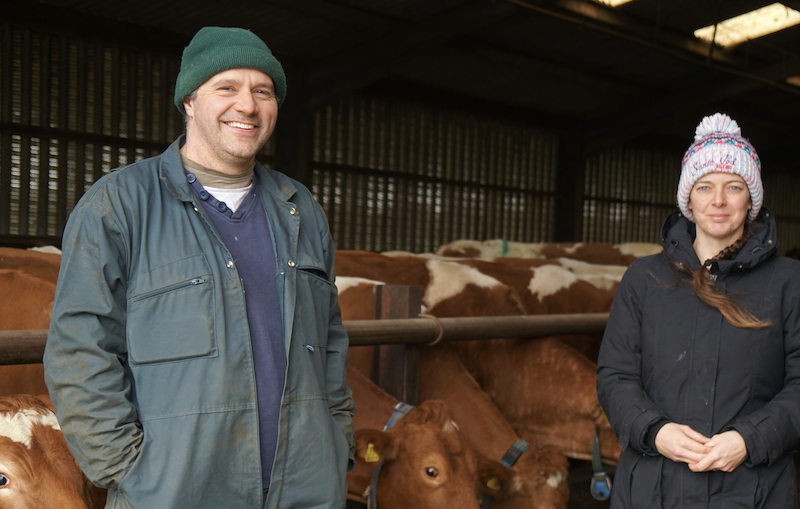 Guernsey_Dairy.png