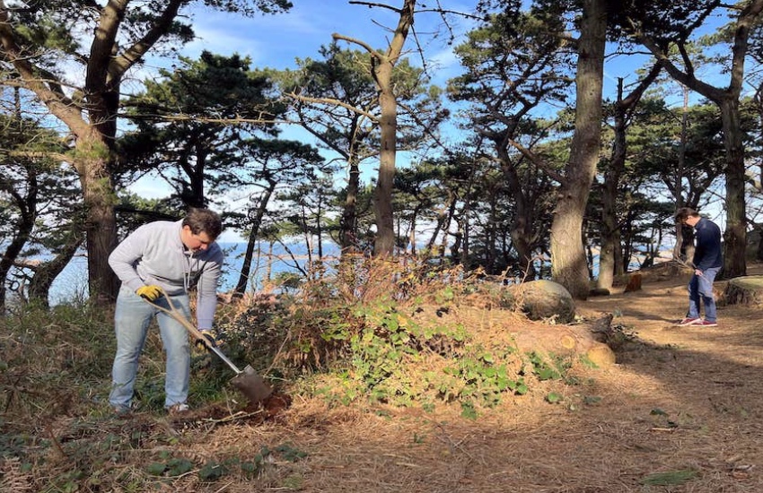 Guet_tree_planting_volunteers.jpg