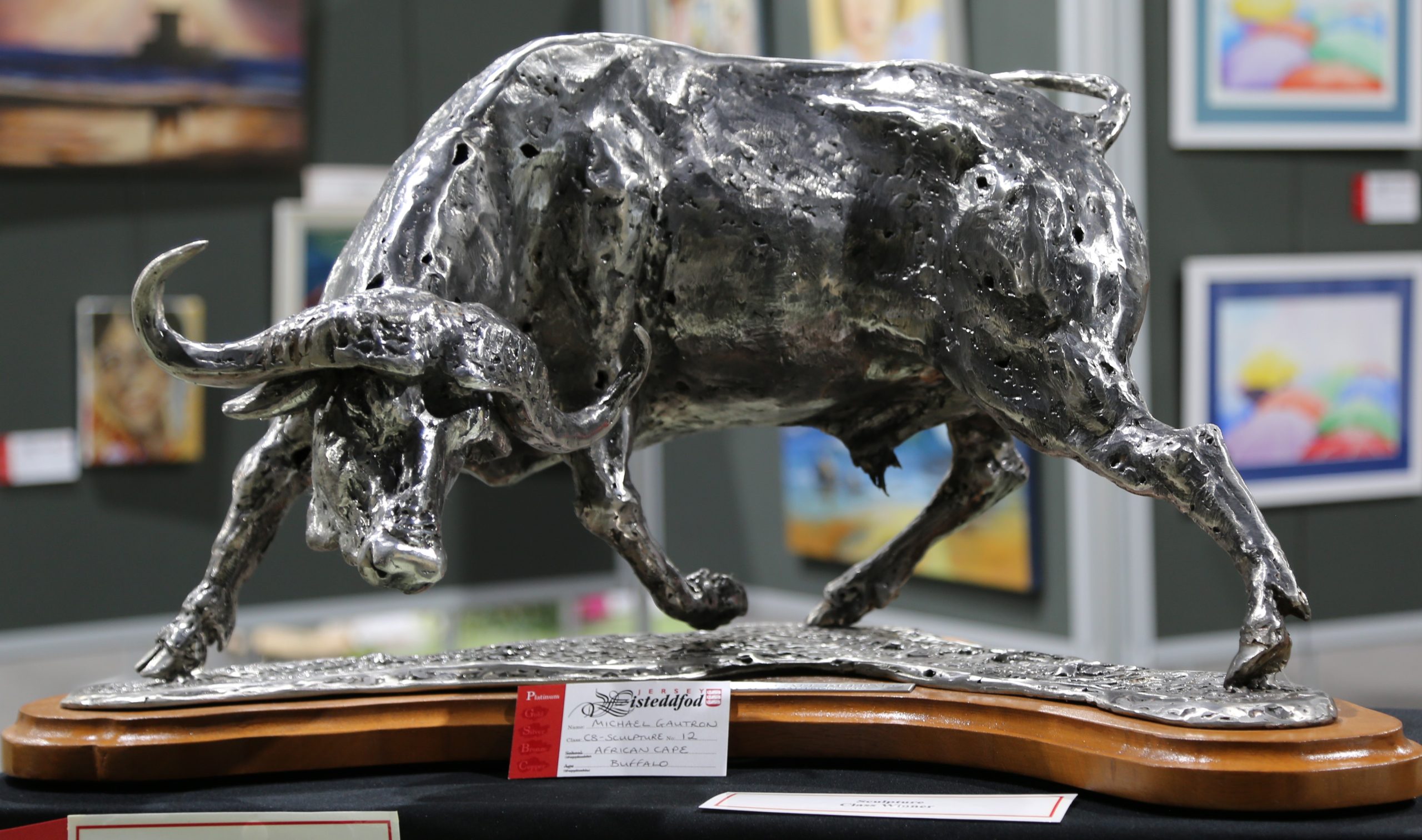 African_Cape_Buffalo_festival_of_the_Creative_Arts_2020_exhibition.jpg