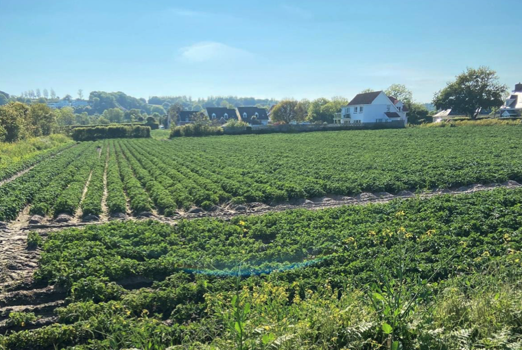 Field Labey G329A Grouville.png