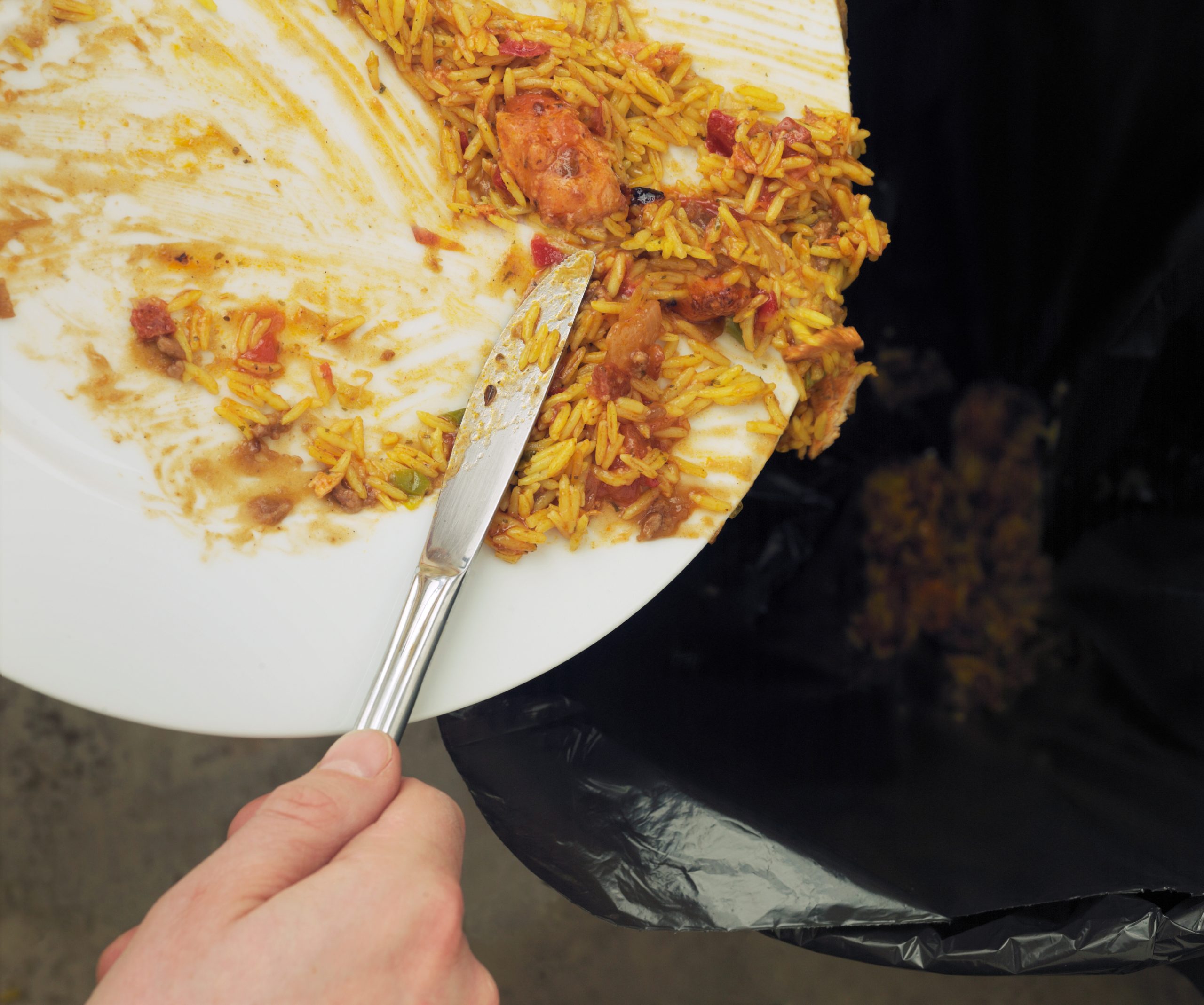 19520_Waste_food_on_plate_-_reduced.jpg