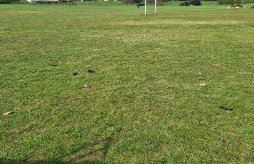 La_Mare_litter.jpg