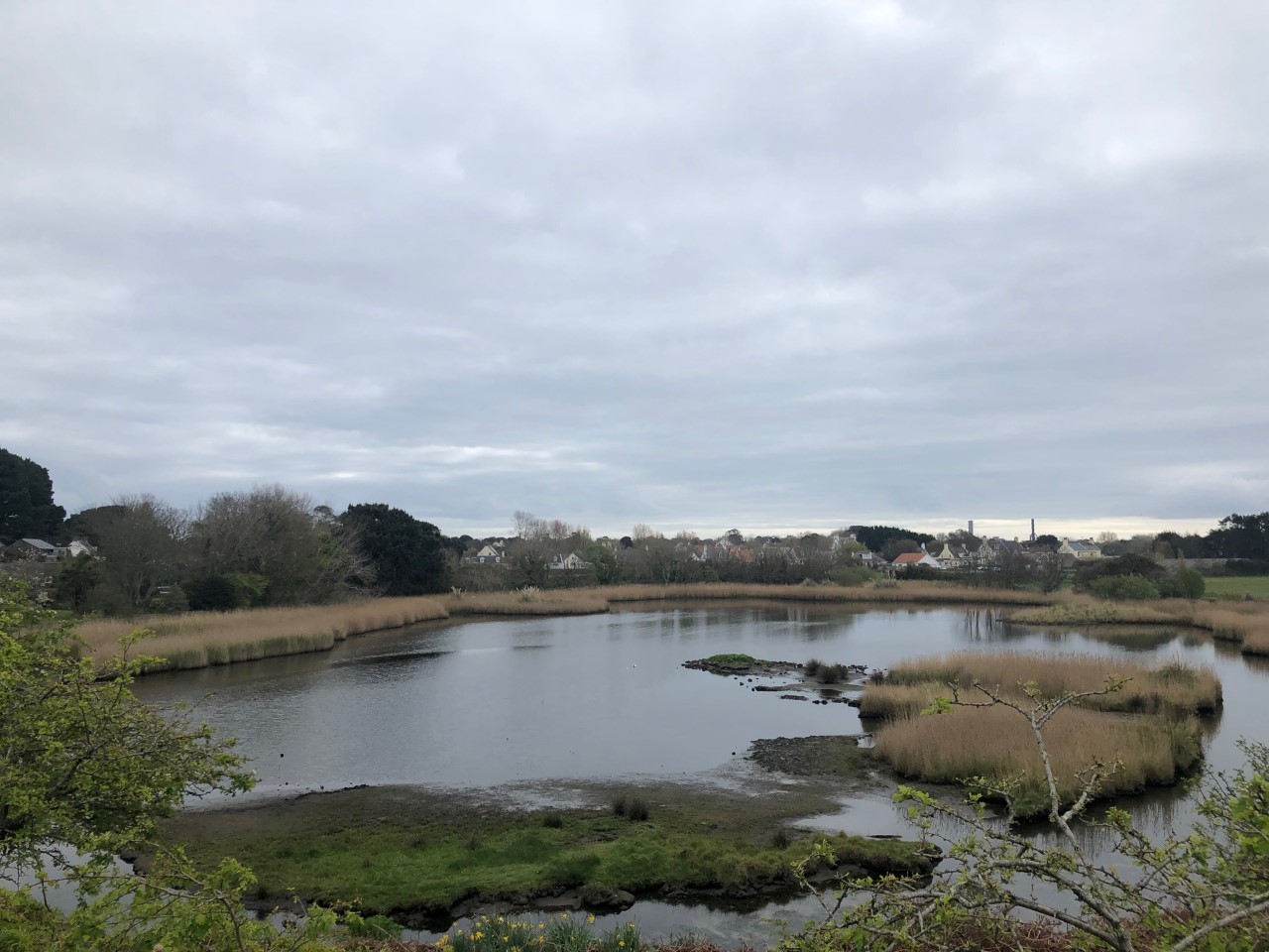 Vale_Pond_1.jpg