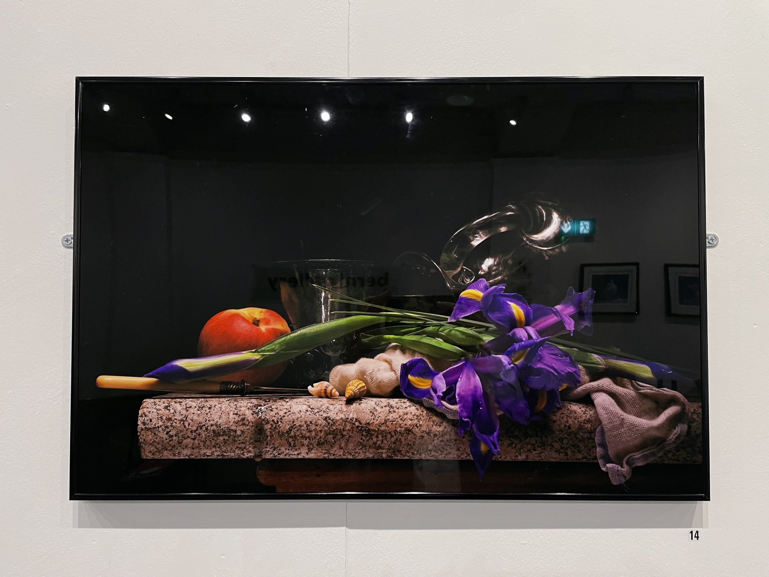 Iris_Still-life.jpeg