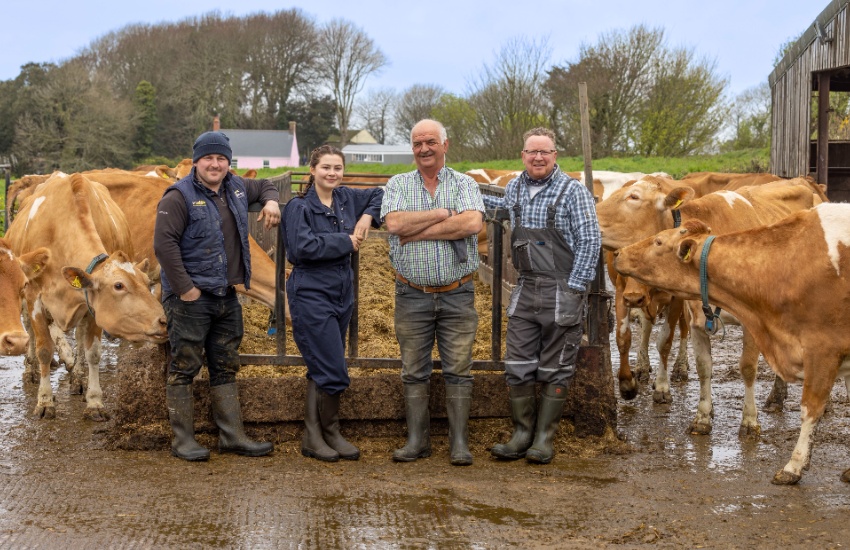 Meadow_Court_Farm.jpg
