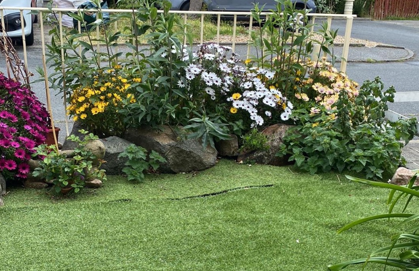 Quarry_-_artificial_grass.jpg