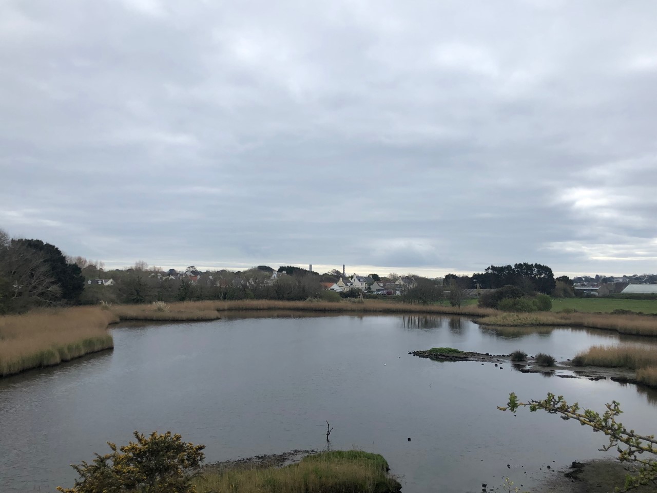Vale_Pond_2.jpg