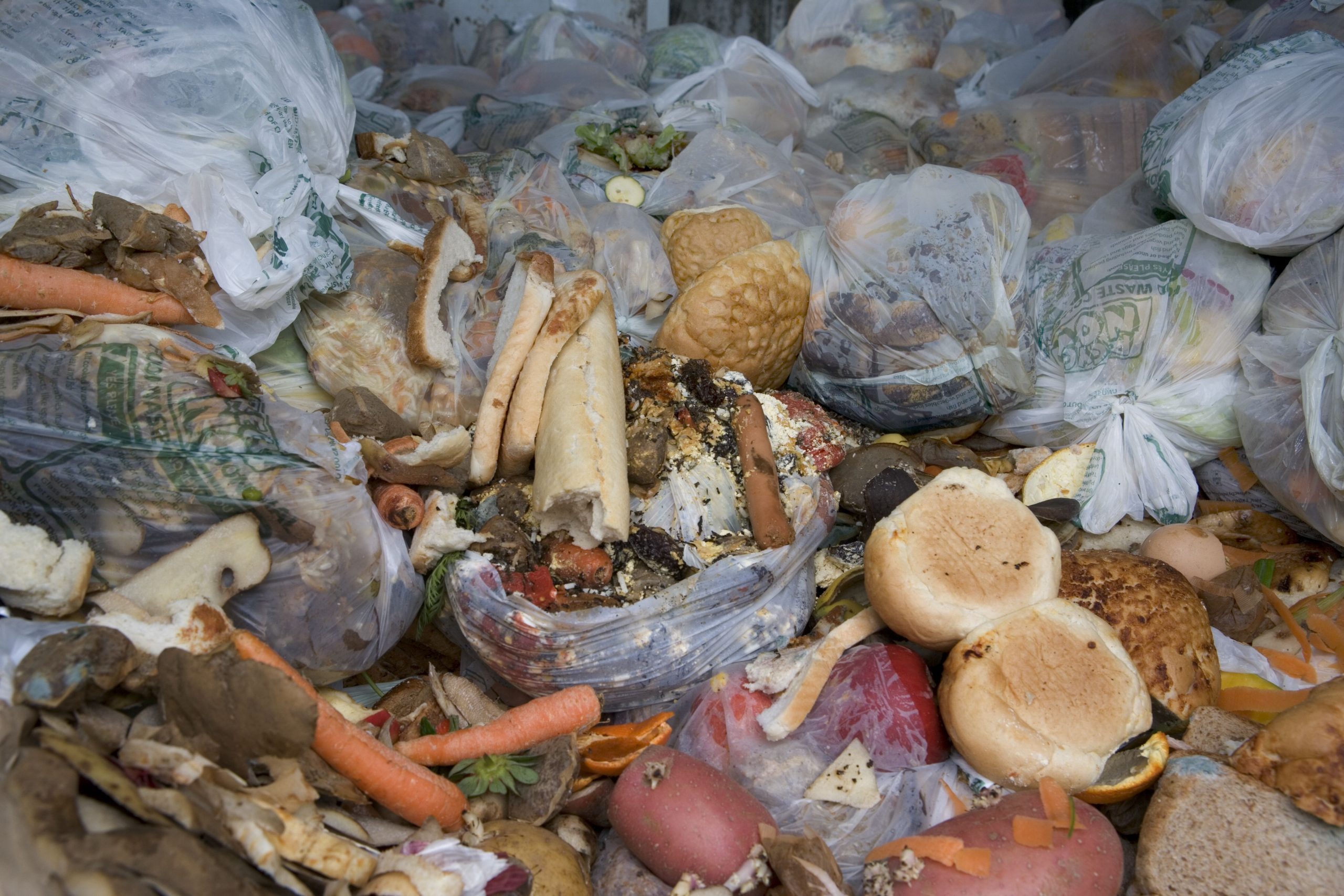 food_waste.jpg