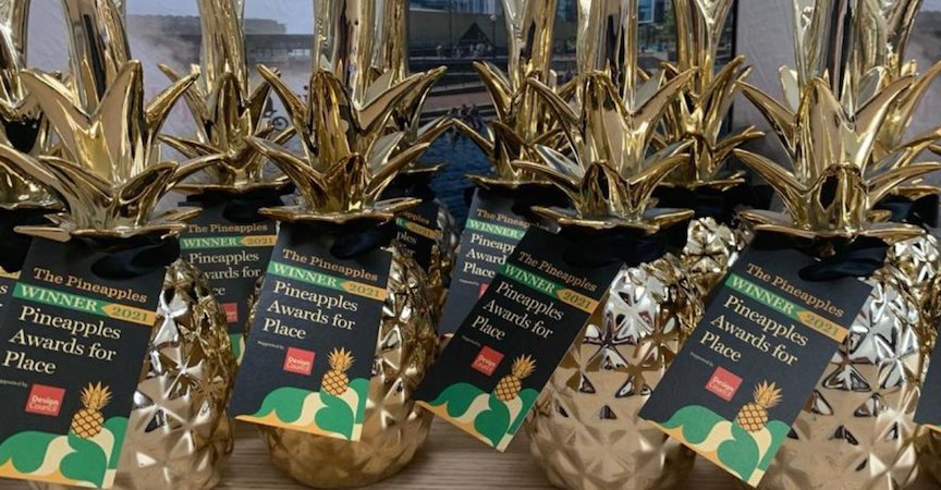 pineapples_awards.jpeg