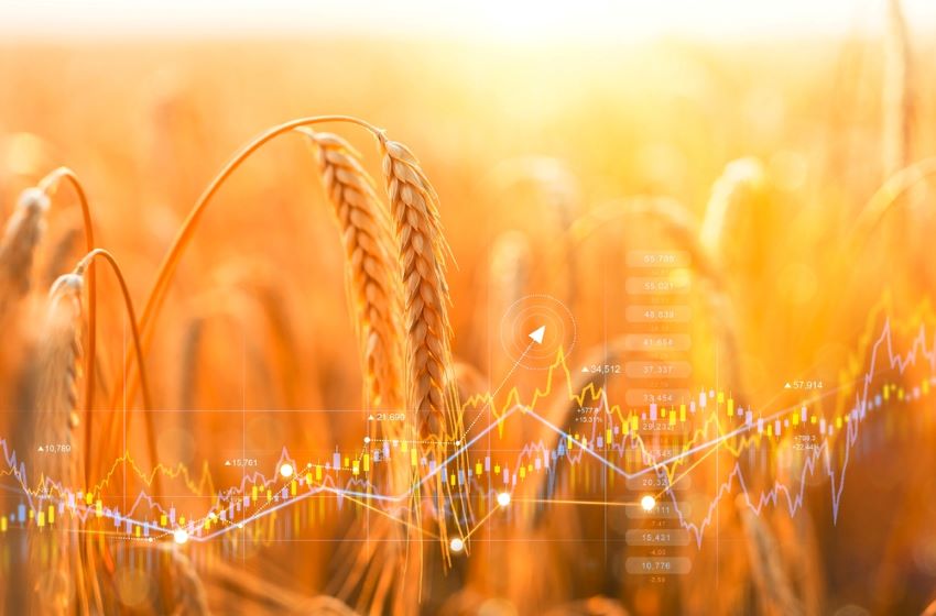 wheat_prices.jpg