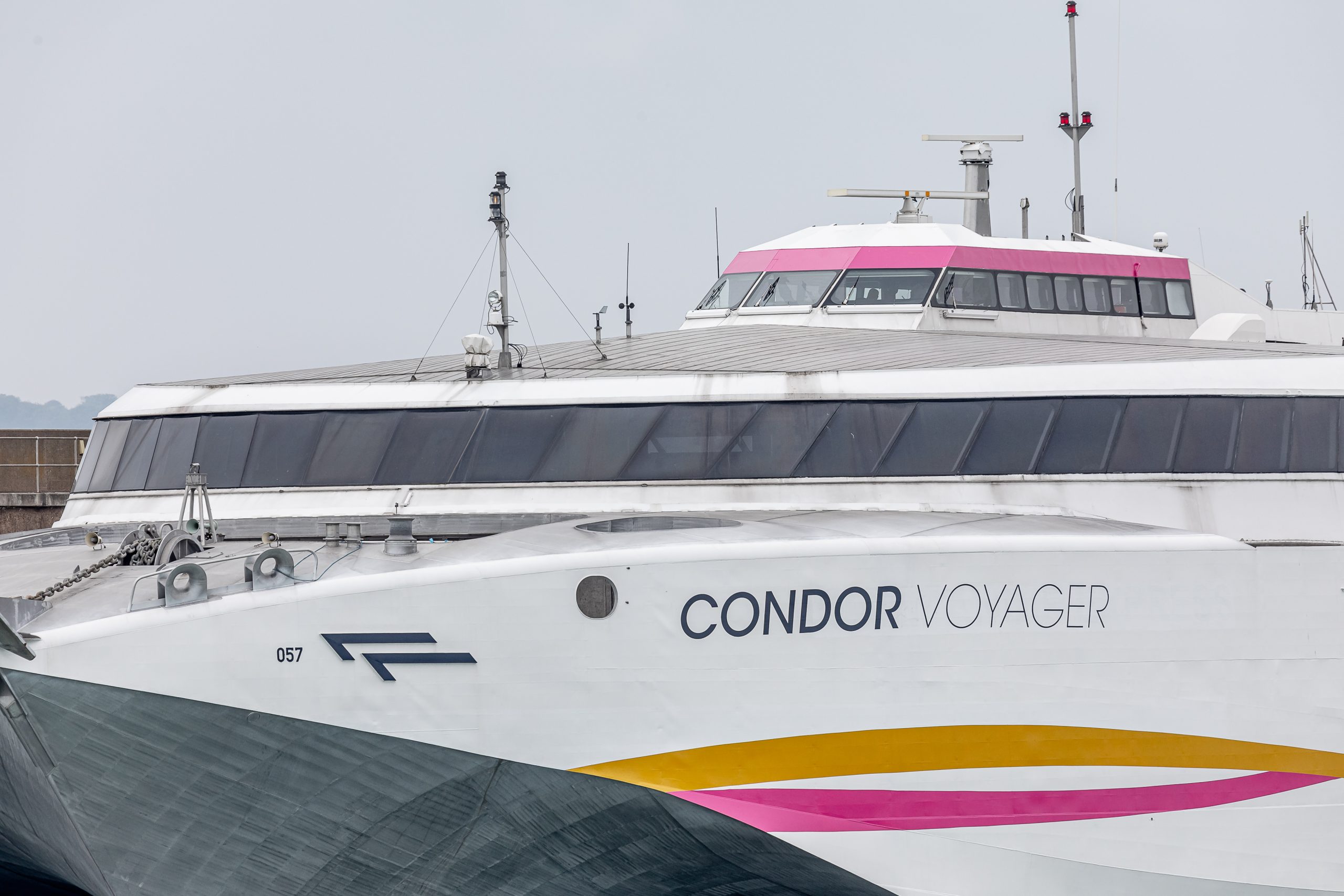 Condor.jpg