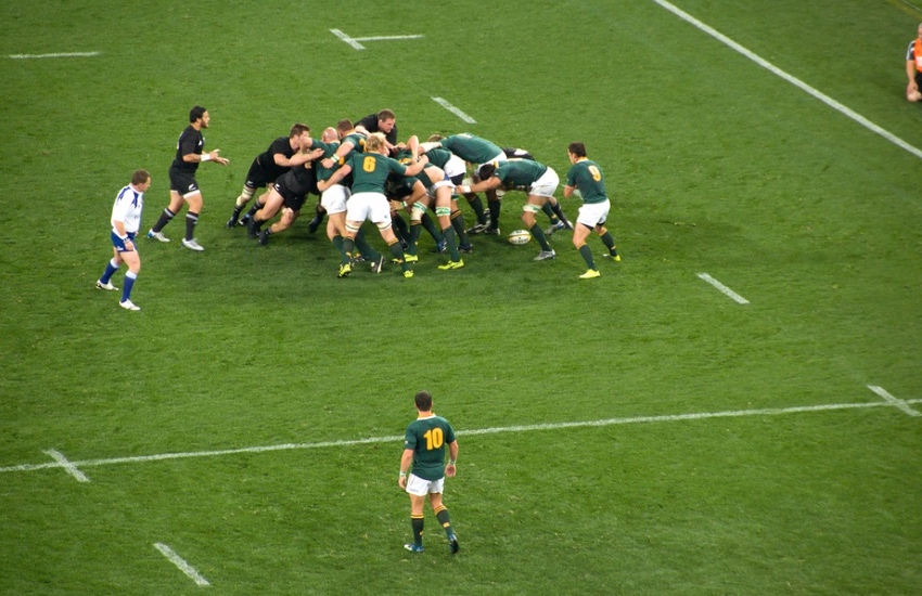 Rugvy_Springboks.jpg