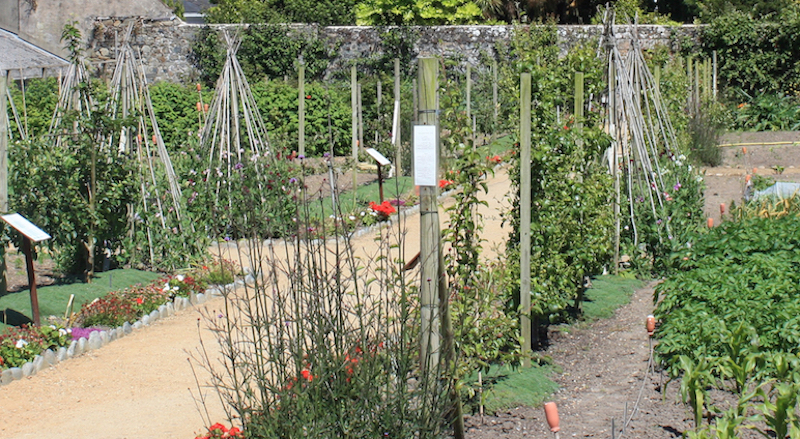 Victorian_Walled_Garden.jpg