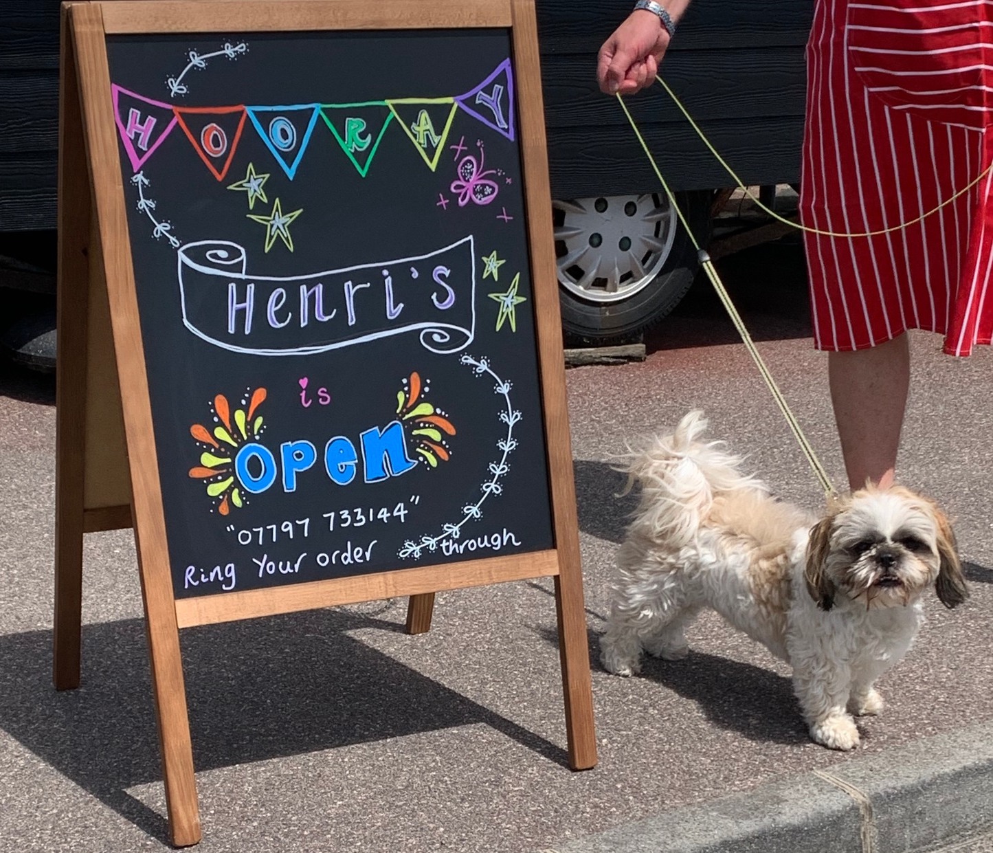 henris_cafe_dog.jpg