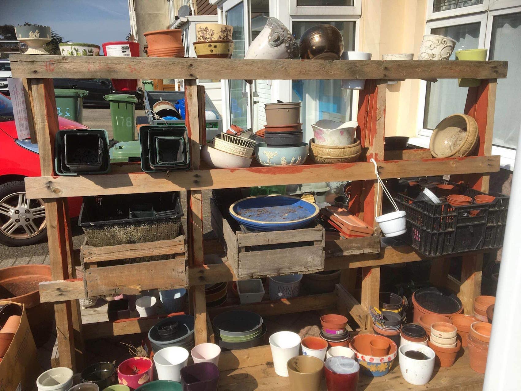 potty_eco_pots_1.jpg
