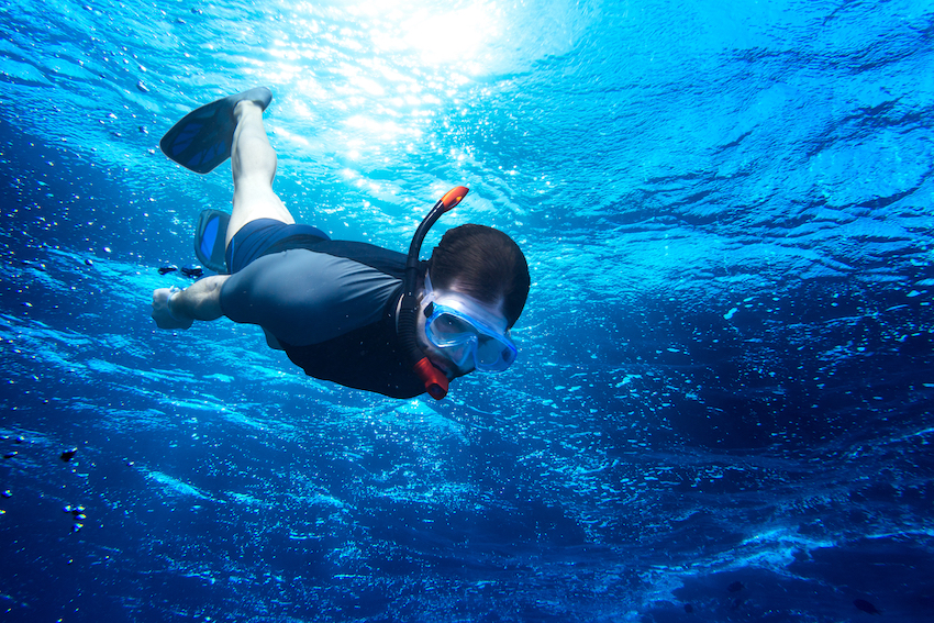 snorkelling.jpg