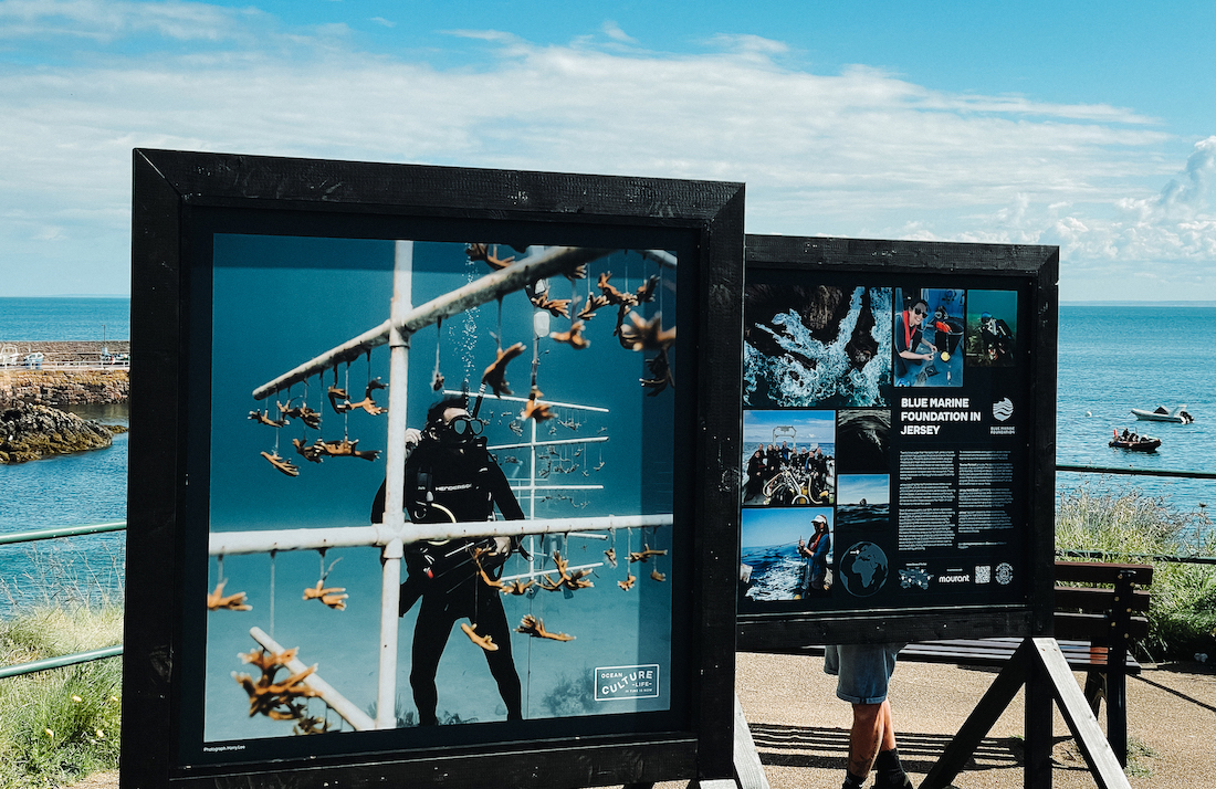 worldoceandayStudio_M.jpg