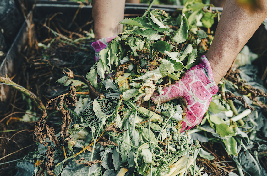 Green_Waste_2.png