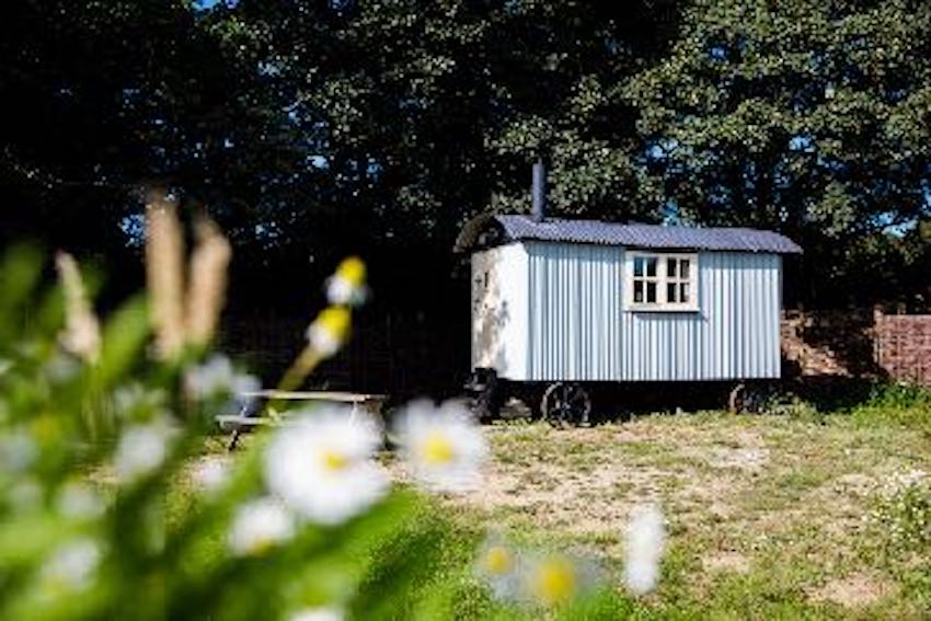 P20211239_Refused_Plan_Shepherd_Hut_-_photographs_2.jpg