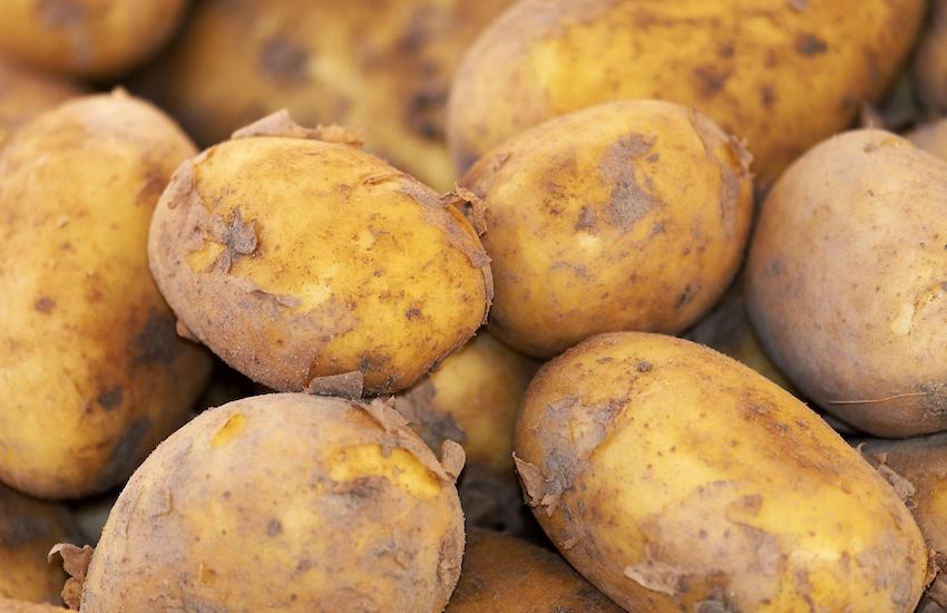 potato-g7f7d94256_1920_3.jpg