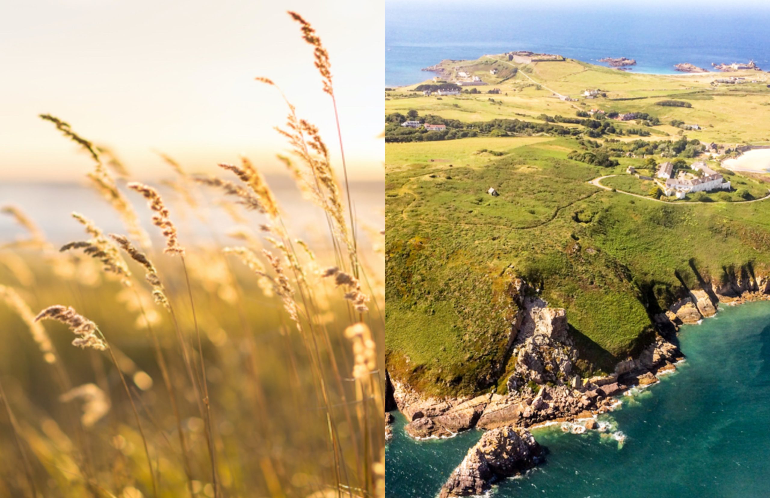 Alderney_Biodiversity.jpg