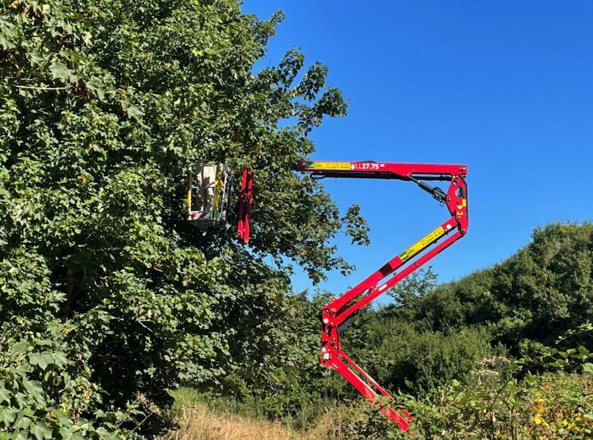 Cherry_Picker.png
