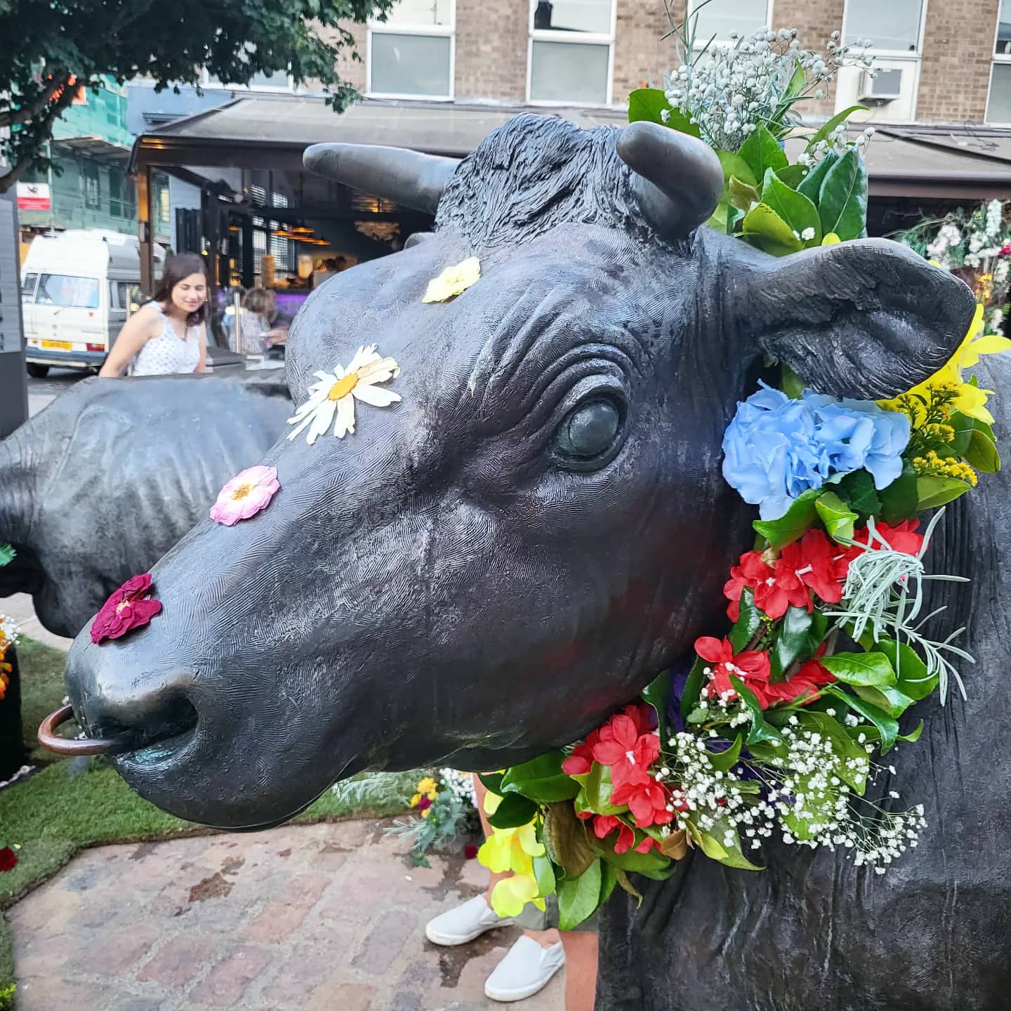 Decorated_Bull
