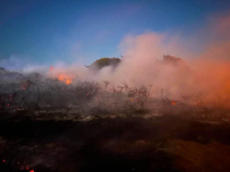lapulentefire-2.jpg