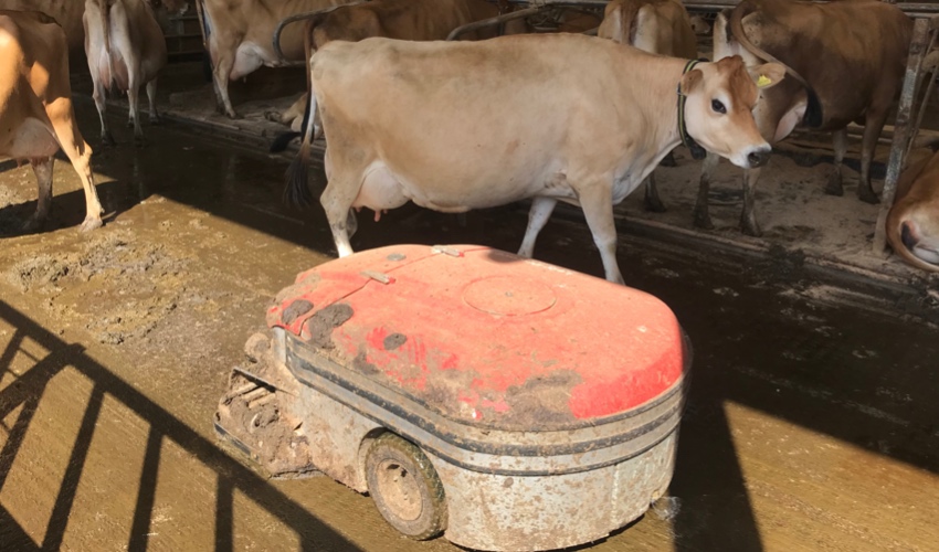 slurry cleaner farming.jpg