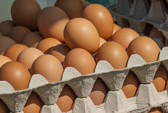 eggs.jpg