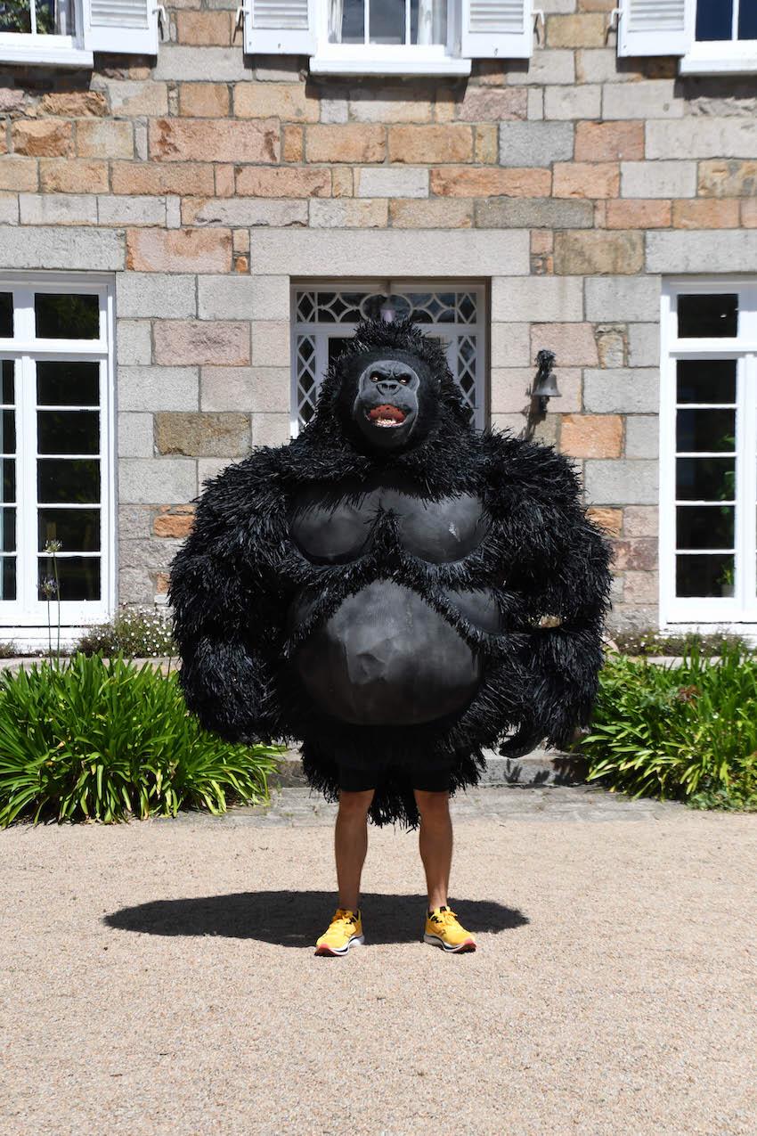 willhighfield-jerseygorilla2.JPG