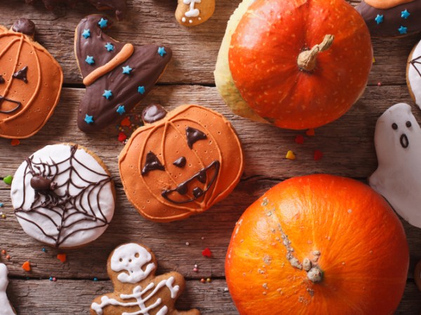 ADVICE: Costumes and chocolate prompt Halloween warning for pet owners