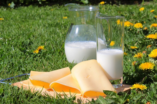milk dairy