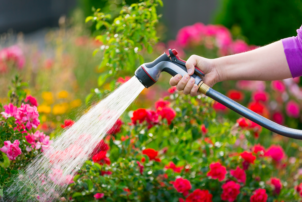 Garden_hose.jpg