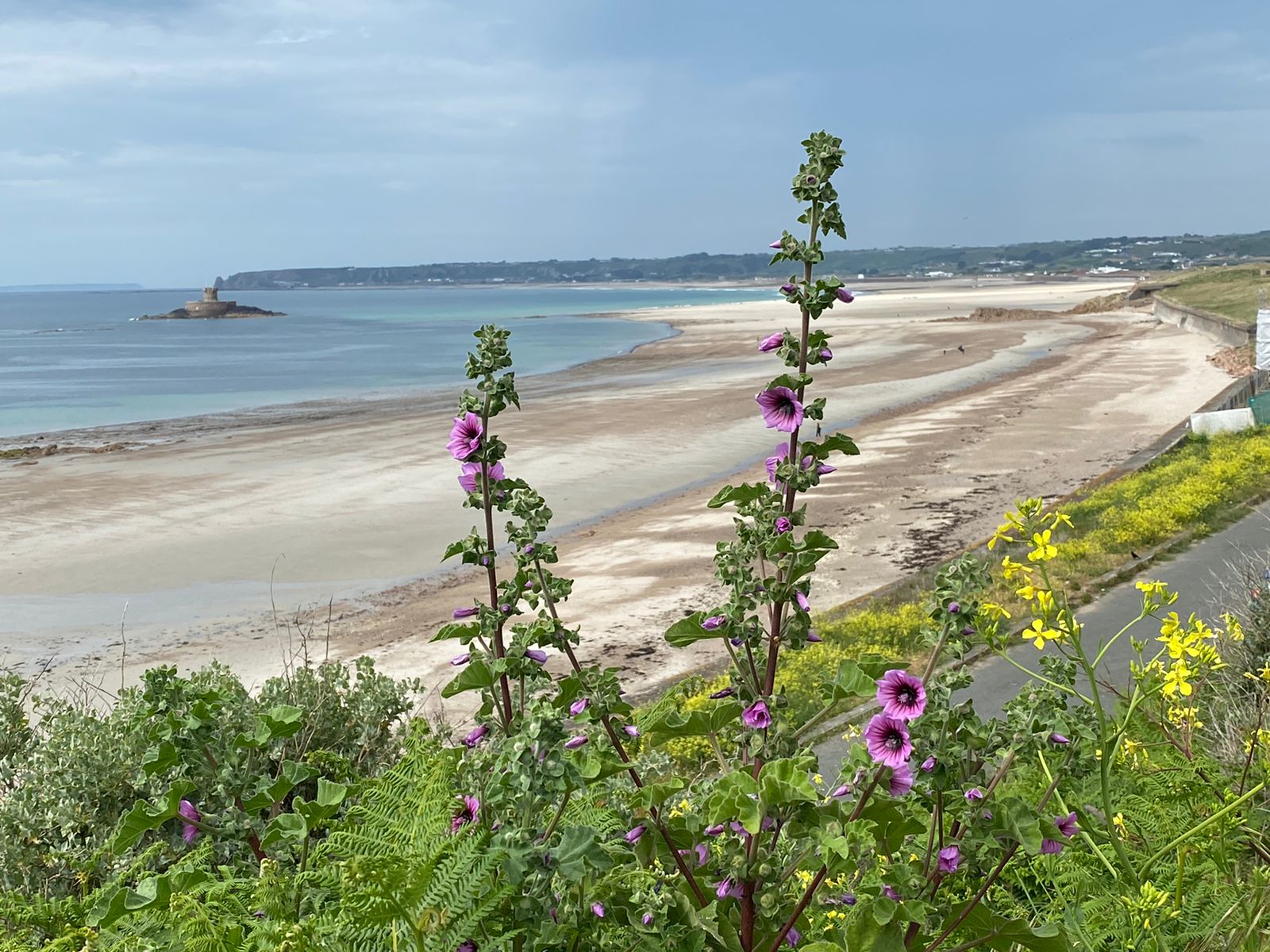 adoni walking in jersey st ouen