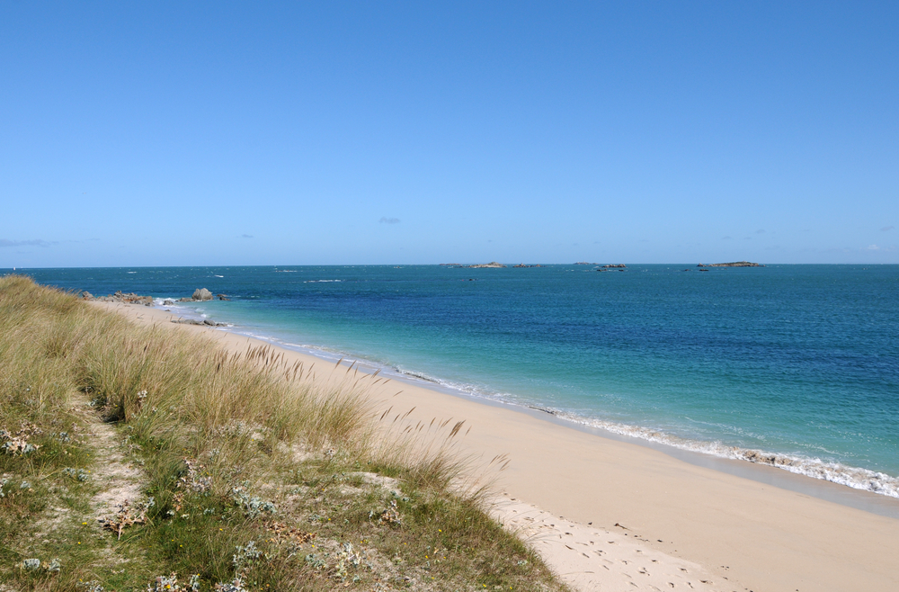 Beach.jpg