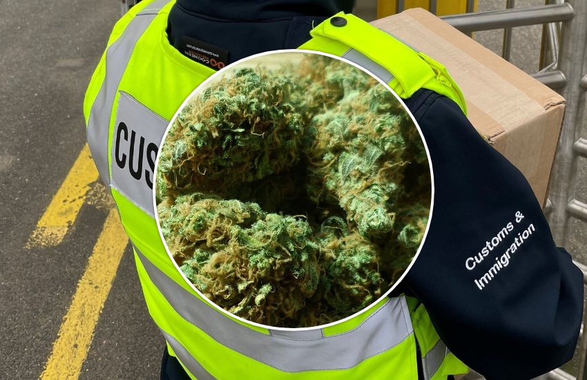 Cannabis_customs_thumbnail.jpg